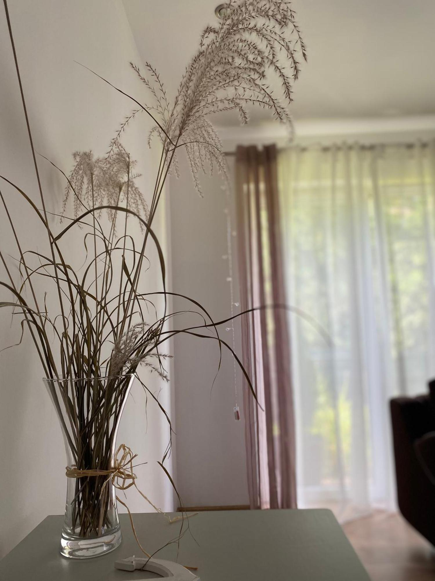 Borkowka Villa Choczewo Luaran gambar